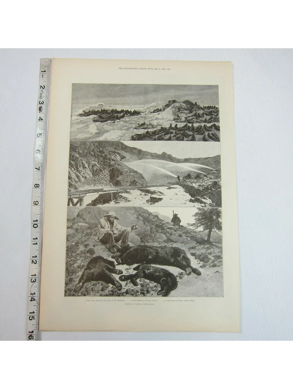 Antique 1888 Print 